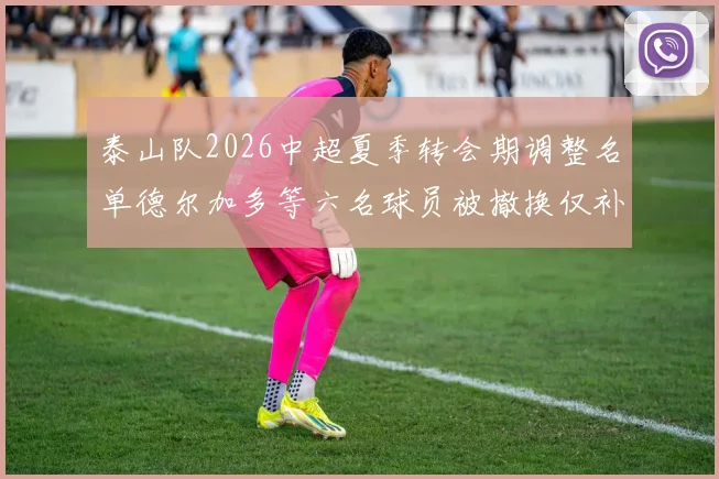 泰山队2026中超夏季转会期调整名单德尔加多等六名球员被撤换仅补报郝富博